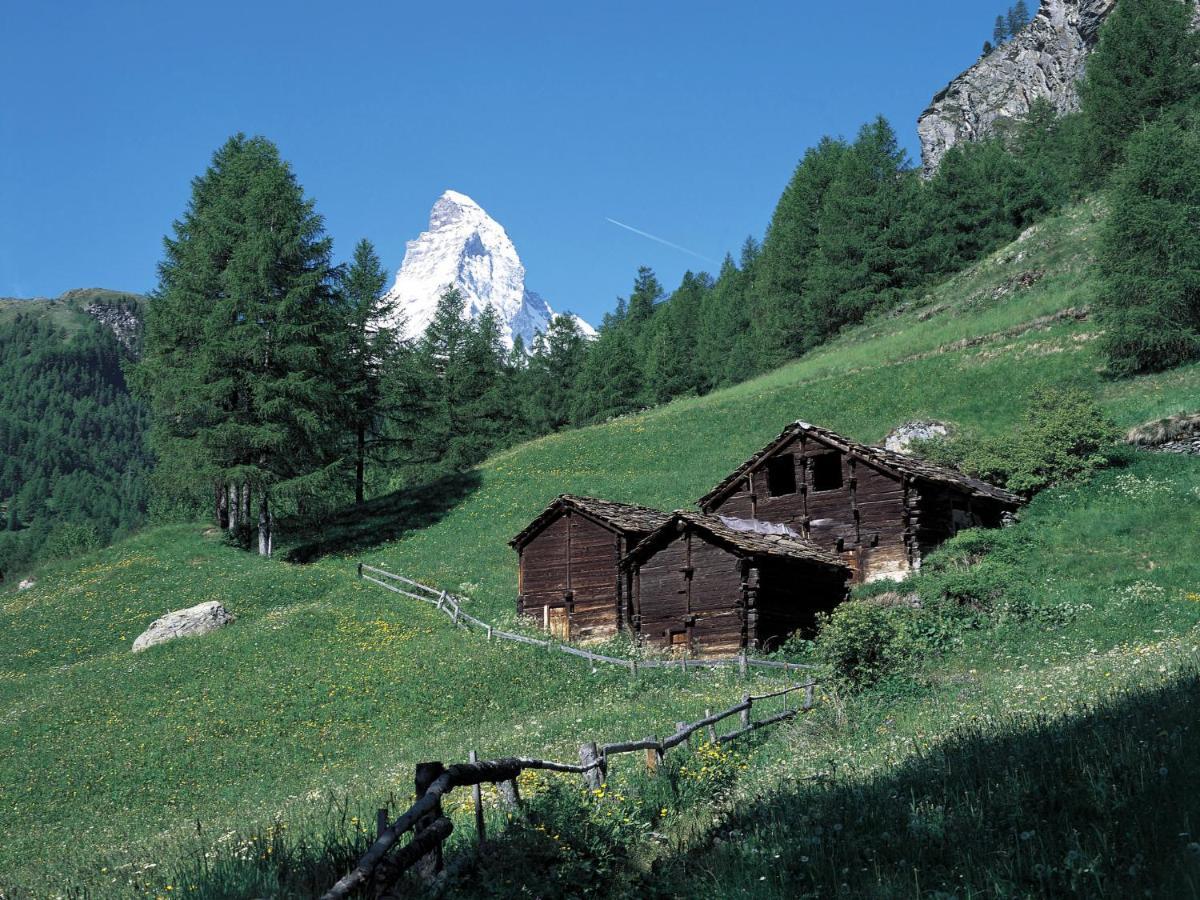 Apartment Breithorn By Interhome Zermatt Dış mekan fotoğraf